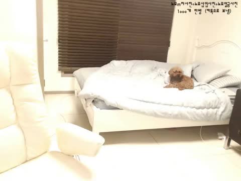 q0pq0p 음비 20161128