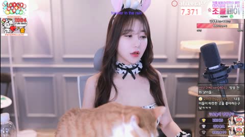 감동란 젖소 코스 2