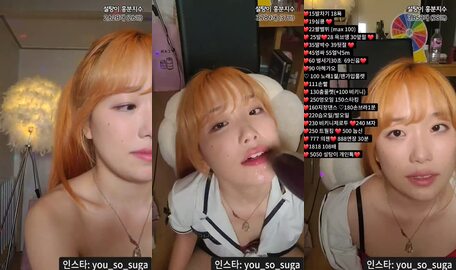 백설탕탕 20231102