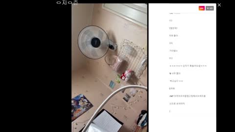 설전퓨 220914 인스타 라이브 노출 1 1
