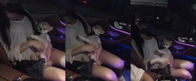 야킹 아프리카 풀빌라 인스타