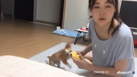 afreecaTV 240412 5