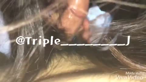트리플제이(@Triple J)1